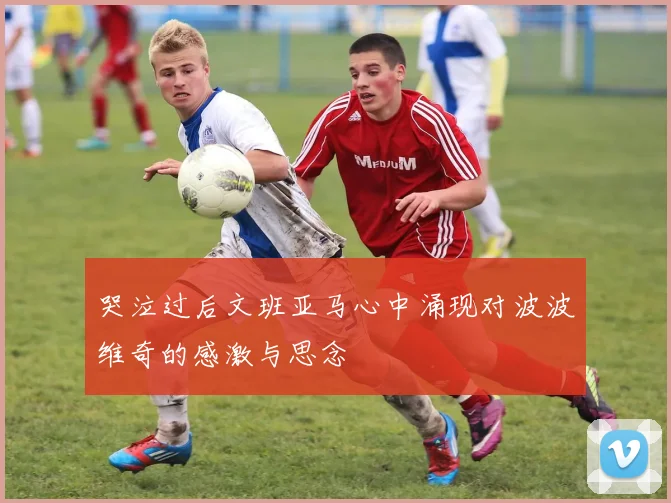 哭泣过后文班亚马心中涌现对波波维奇的感激与思念