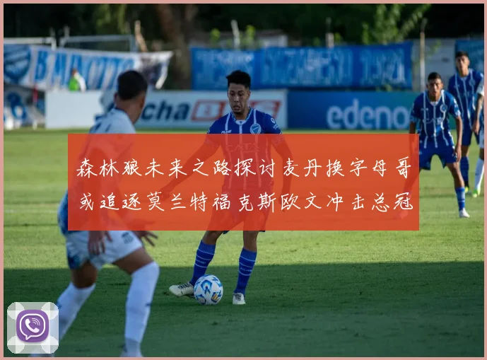 森林狼未来之路探讨麦丹换字母哥或追逐莫兰特福克斯欧文冲击总冠军